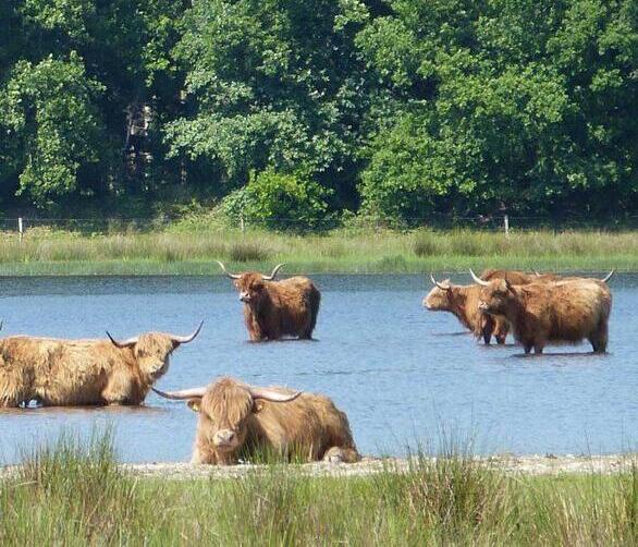 Vergaderen in de natuur